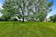 955 W Gilbert, Palatine, IL 60067