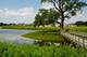 3680 Broadleaf, Elgin, IL 60124
