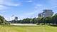 6227 D S Ellis, Chicago, IL 60637