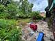 10300 S Talman, Chicago, IL 60655