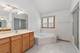 10899 Swallow Tail, Frankfort, IL 60423