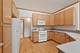10899 Swallow Tail, Frankfort, IL 60423