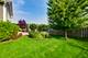 1945 Jordan, Buffalo Grove, IL 60089