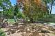 712 Pawnee, Naperville, IL 60563