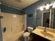 1254 Chicory, Naperville, IL 60564