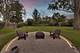 301 Lance, Des Plaines, IL 60016
