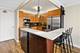 901 S Plymouth Unit 1101, Chicago, IL 60605