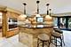 933 Spindletree, Naperville, IL 60565