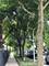 1949 N Francisco, Chicago, IL 60647