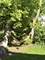 228 N Walnut, Schaumburg, IL 60194