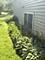 228 N Walnut, Schaumburg, IL 60194