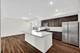 991 Celebration, Aurora, IL 60504