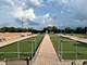 21119 W Braxton, Plainfield, IL 60544