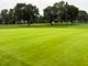 1117 Summit Hills, Naperville, IL 60563