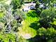 976 Highland, Glen Ellyn, IL 60137