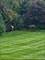 976 Highland, Glen Ellyn, IL 60137