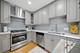 1521 S Indiana Unit J, Chicago, IL 60605