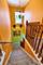 214 N William, Mount Prospect, IL 60056