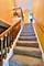 214 N William, Mount Prospect, IL 60056
