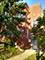 3643 Clinton, Berwyn, IL 60402