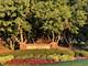 995 Reserve, Elgin, IL 60124
