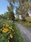 995 Reserve, Elgin, IL 60124