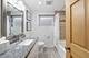 11001 S Albany, Chicago, IL 60655