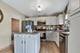 1506 Lasser, Plainfield, IL 60586