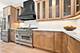 11173 S Longwood, Chicago, IL 60643