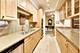 1335 S Prairie Unit 1702, Chicago, IL 60605