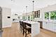 1685 Marion, Roselle, IL 60172