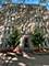 1332 W Hood Unit 304, Chicago, IL 60660