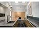 1019 N Wolcott, Chicago, IL 60622