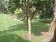 2220 Arbor Unit 26, Downers Grove, IL 60515