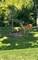 12054 Blackthorne Ridge, Mokena, IL 60448