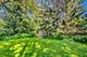 125 N Prospect, Clarendon Hills, IL 60514