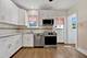 2419 W Berenice, Chicago, IL 60618