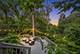 11515 Burr Oak, Burr Ridge, IL 60527