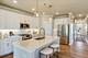 25513 W Alabaster, Plainfield, IL 60544