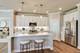25513 W Alabaster, Plainfield, IL 60544