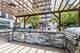 545 N Dearborn Unit W1409, Chicago, IL 60654