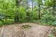 4520 Douglas, Oswego, IL 60543