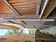 1431 N Austin, Chicago, IL 60651