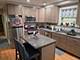 3811 N Spaulding Unit 1, Chicago, IL 60618