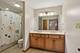 20467 Falling Water, Frankfort, IL 60423