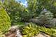 1008 Anne, Naperville, IL 60540