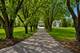 23W735 Hobson, Naperville, IL 60540