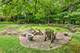 3 Old Hunt, Northfield, IL 60093