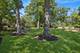 465 Dundee, Glencoe, IL 60022