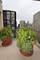 2 E Erie Unit 3606, Chicago, IL 60611